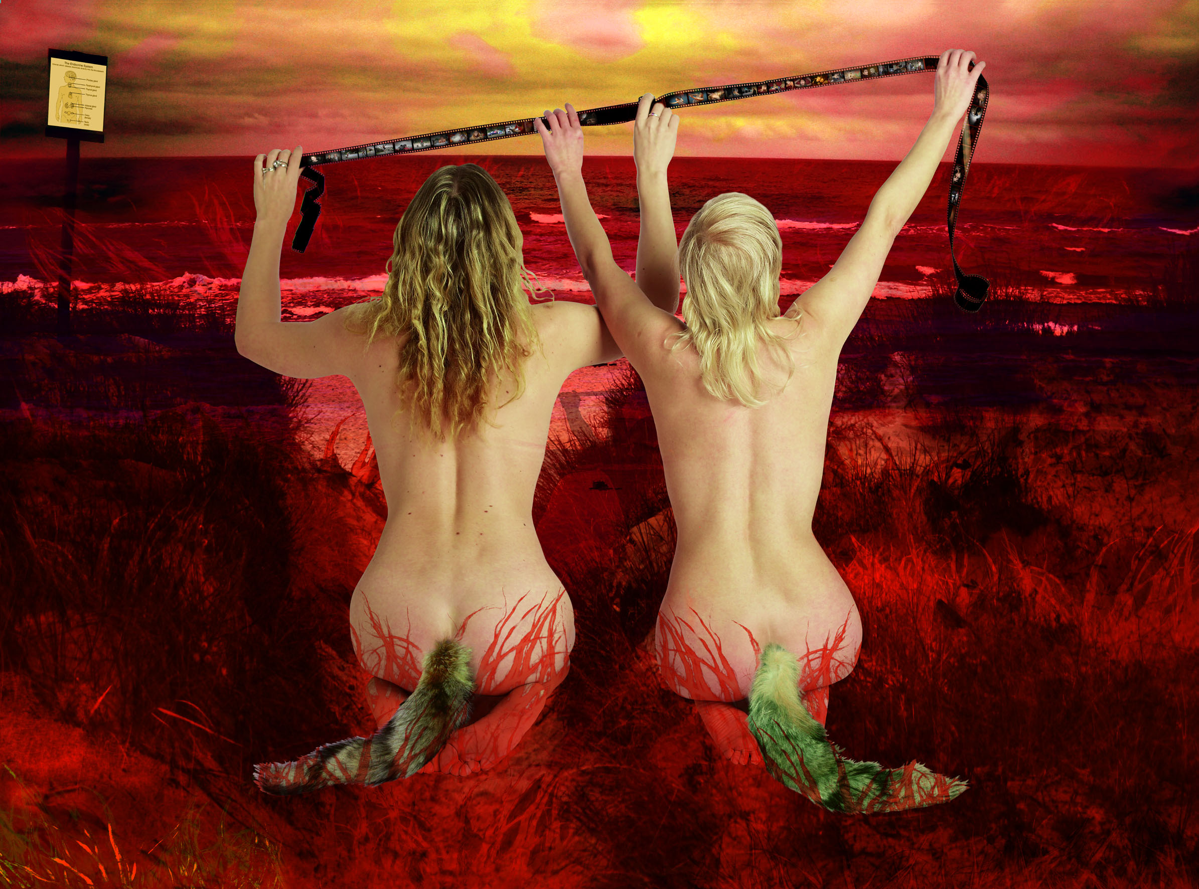 MALAVIDA (6): We Thought We Had Built So Much Together, Achieved Nothing, Were Simply Too Happy